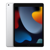 Планшет Apple iPad 2021 Wi-Fi 256Gb Серебристый (MK2P3)