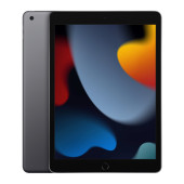Планшет Apple iPad 2021 Wi-Fi 256Gb Серый космос (MK2N3)